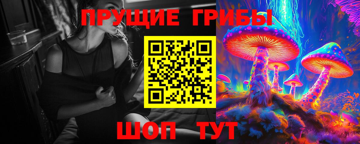 Галлюциногенные грибы ЛСД  Вход с VPN  Псилоцибиновые грибы Psilocybe  Заречный 